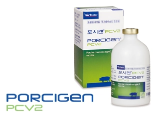 porcigen-news (1).webp