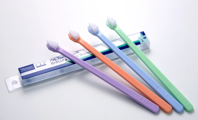 cet canister toothbrush.webp